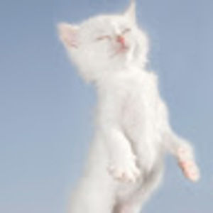 Meet your Posher, Chariste